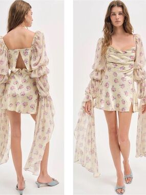 knee length dresses for ladies For Love & Lemons Organza Sequin Embroidered Mini Dress